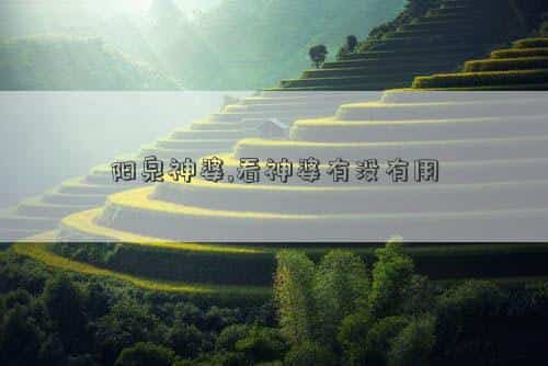 肖年好运网
