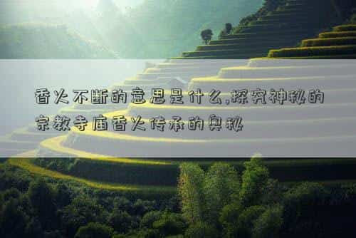 肖年好运网