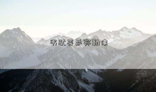 韦驮和弥勒佛，韦驮菩萨弥勒佛