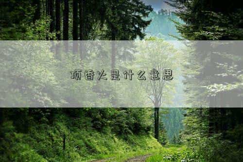香火钱是什么意思，顶香火是什么意思