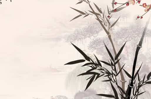 测八字两个人，八字配对测试两人姻缘,八字合婚分析婚姻