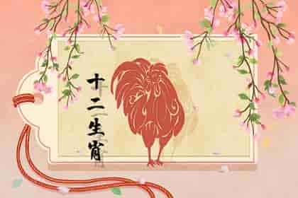 生肖鸡男和生肖女鼠相配吗，生肖鸡男和生肖女配不配价值观念十分相近