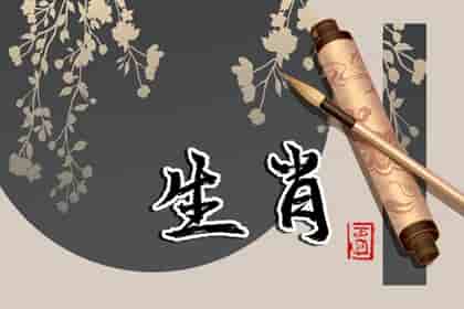 生肖猪男和什么生肖女配 属羊女 生肖属狗女