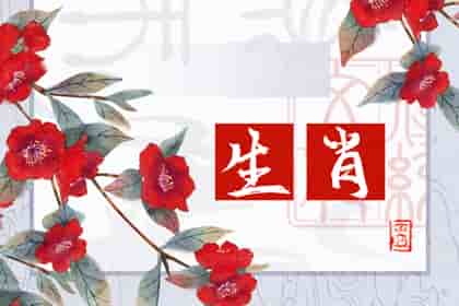 生肖虎女配对，生肖虎女配什么生肖男好虎女和狗男是很好的组合