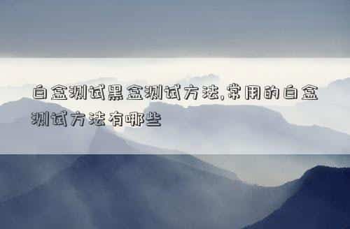 白盒测试黑盒测试属于什么测试，白盒测试黑盒测试方法,常用的白盒测试方法有哪些