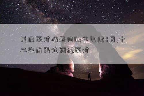 属虎的和什么婚配最好，属虎配对啥最佳62年属虎4月,十二生肖最佳姻缘配对