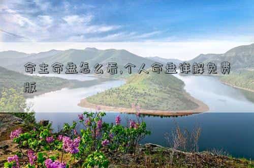命主怎么看 星盘，命主命盘怎么看,个人命盘详解免费版