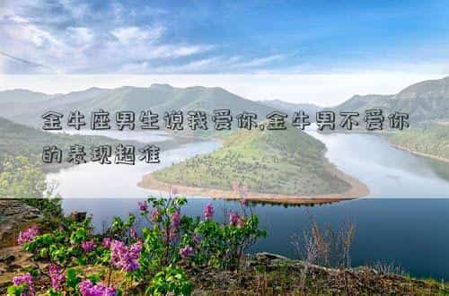 金牛座男生说我爱你 可以相信吗?，金牛座男生说我爱你,金牛男不爱你的表现超准