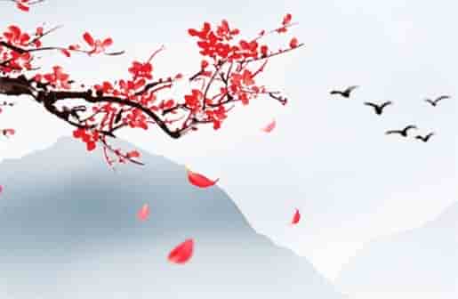 夫妻宫武曲天府配什么好，夫妻宫武曲天府配偶特征夫妻宫武曲天相一般多久结婚