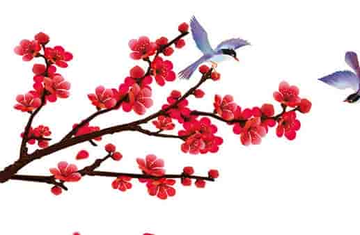 戌子暗合叧一半属什么，八字子戌暗合意为地支藏干暗合