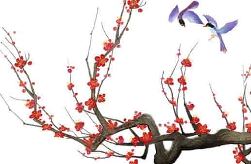 戊癸合八字实例，八字戊癸合的夫妻感情需要多多忍让