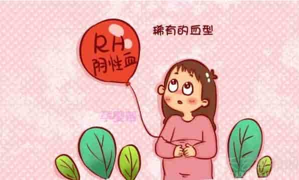 熊猫血型是什么血型   熊猫血型的特点解析