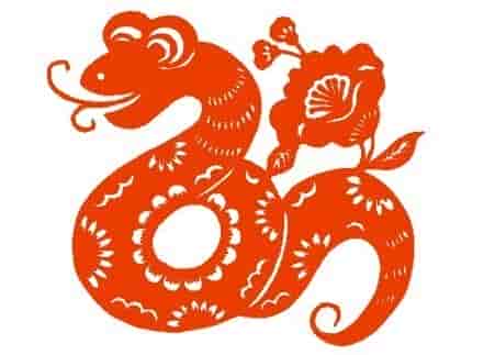 属蛇的和什么属相最配，和生肖鸡的天生一对