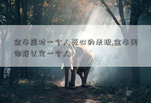 金牛座对一个人死了的态度，金牛座对一个人死心的表现,金牛男彻底认定一个人