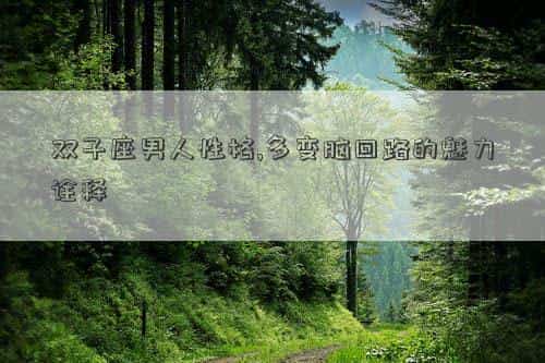 双子座男人性格和脾气，双子座男人性格,多变脑回路的魅力诠释