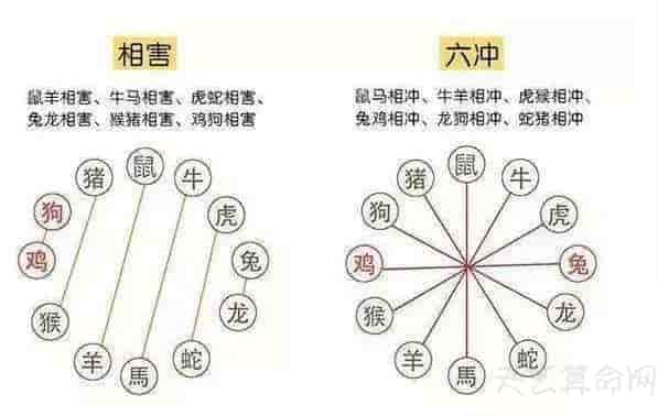 生肖配婚有什么注意事项   生肖婚配不能够相冲、相害、相刑