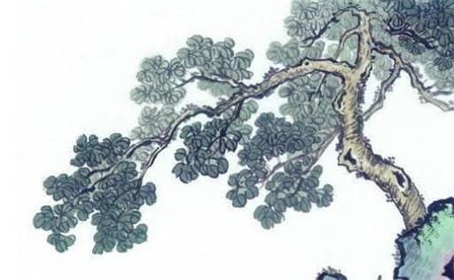 肖年好运网