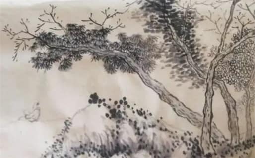 肖年好运网
