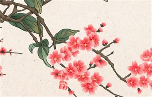 肖年好运网