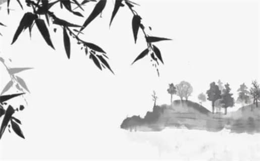 肖年好运网