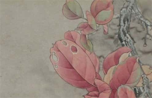 肖年好运网