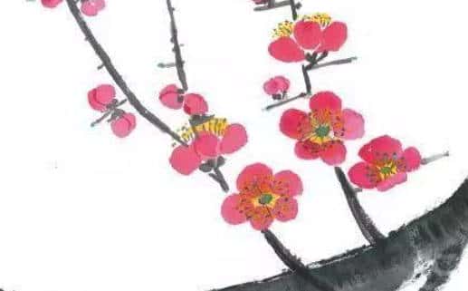 肖年好运网