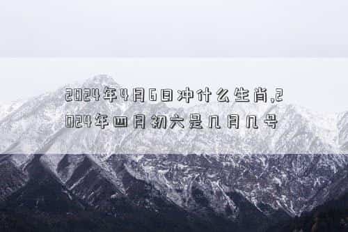 肖年好运网