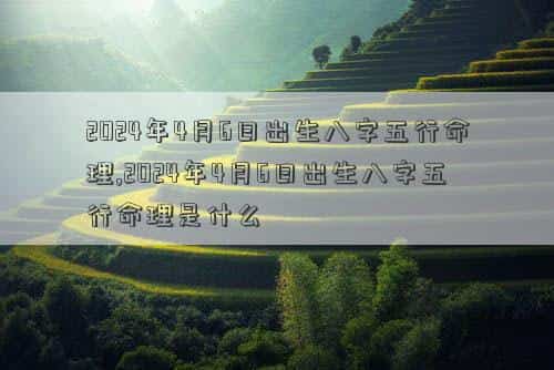 肖年好运网