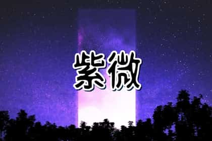 青睐网