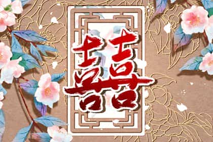 青睐网