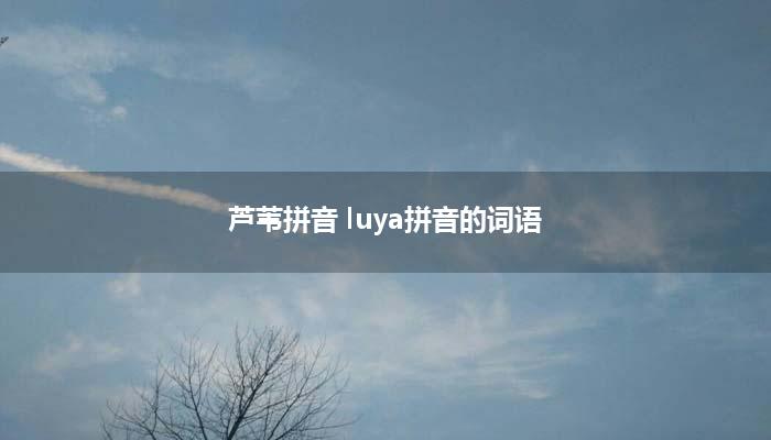 芦苇拼音 luya拼音的词语？