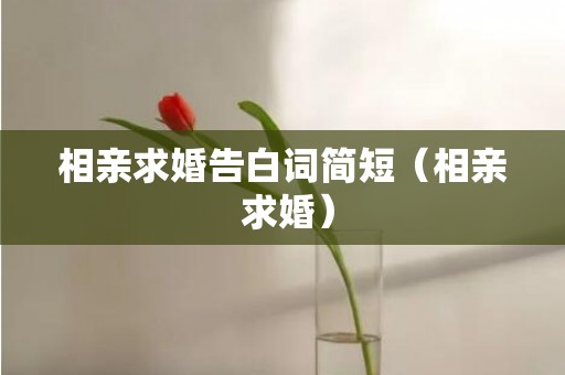 相亲求婚告白词简短（相亲 求婚）