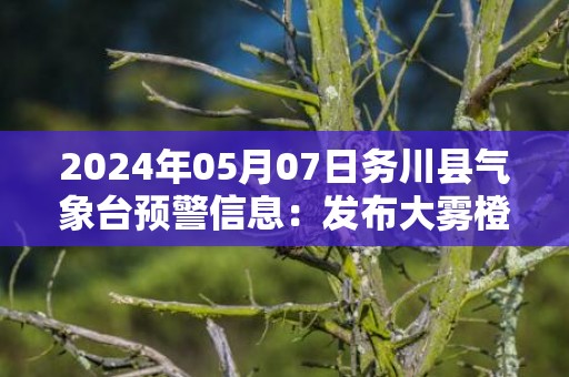 2024年05月07日务川县气象台预警信息：发布大雾橙色预警