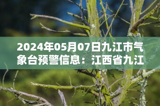 2024年05月07日九江市气象台预警信息：江西省九江市发布大雾黄色预警