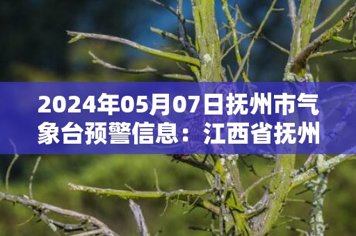 2024年05月07日抚州市气象台预警信息：江西省抚州市发布大雾黄色预警