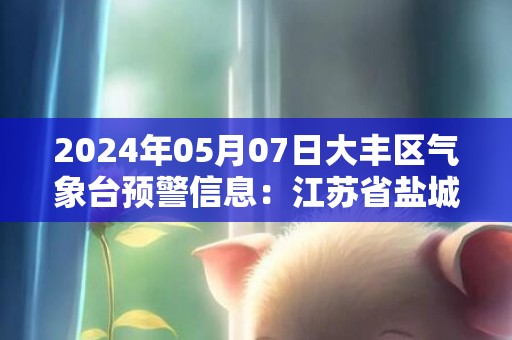 2024年05月07日大丰区气象台预警信息：江苏省盐城市大丰区发布大雾橙色预警