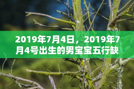 2019年7月4日，2019年7月4号出生的男宝宝五行缺木要如何起名字