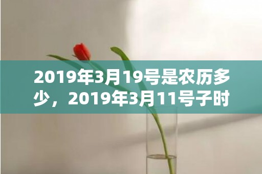 2019年3月19号是农历多少，2019年3月11号子时出生的男孩要怎么起名字