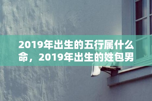 2019年出生的五行属什么命，2019年出生的姓包男孩如何起名，宜用什么字