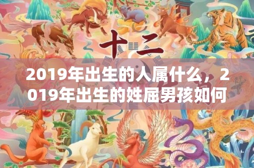 2019年出生的人属什么，2019年出生的姓屈男孩如何起名，宜用什么字