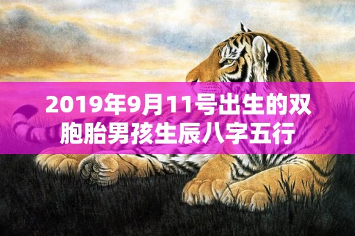 2019年9月11号出生的双胞胎男孩生辰八字五行