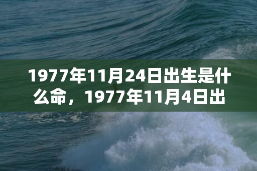 1977年11月24日出生是什么命，1977年11月4日出生的人命好吗