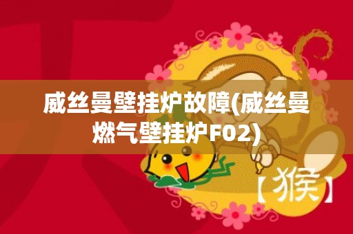 威丝曼壁挂炉故障(威丝曼燃气壁挂炉F02)