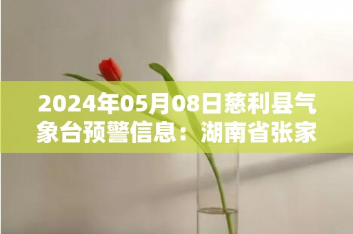 2024年05月08日慈利县气象台预警信息：湖南省张家界市慈利县发布大雾橙色预警