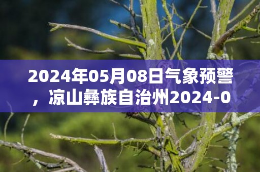 2024年05月08日气象预警，凉山彝族自治州2024-05-08星期三天气预报 大部小雨