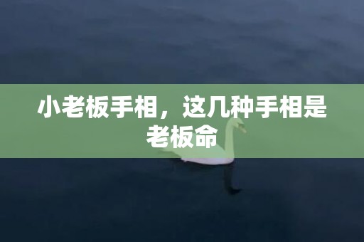 小老板手相，这几种手相是老板命