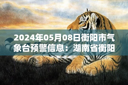 2024年05月08日衡阳市气象台预警信息：湖南省衡阳市发布大雾橙色预警