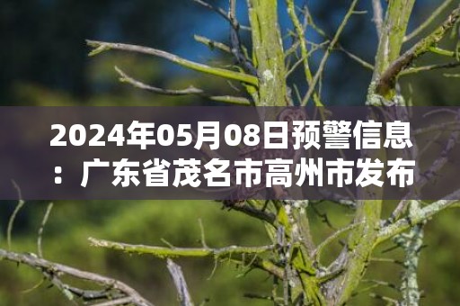 2024年05月08日预警信息：广东省茂名市高州市发布大雾橙色预警