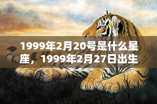 1999年2月20号是什么星座，1999年2月27日出生的人命好吗