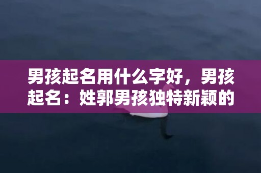 男孩起名用什么字好，男孩起名：姓郭男孩独特新颖的名字